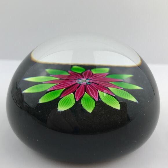 Perthshire PP54 1983 Lampwork Flower Petals Leaves Black Ground LE Paperweight - Picture 4 of 13